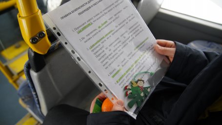 Новогодний автобус под управлением Деда Мороза возил пассажиров в столице Камчатки 2