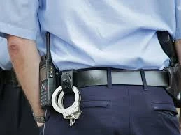 Камчатские полицейские изъяли наркотики и оружие у ранее судимого жителя края