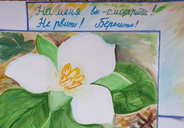 В "Вулканах Камчатки" подвели итоги красивого конкурса "Первоцветы" 0