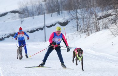 В Елизове прошли соревнования по снежным дисциплинам ездового спорта 11