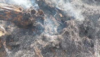 На Камчатке в двух населённых пунктах повысился класс пожарной опасности
