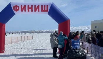 Камчатская традиционная гонка на собачьих упряжках «Берингия-2023» финишировала в Усть-Камчатске