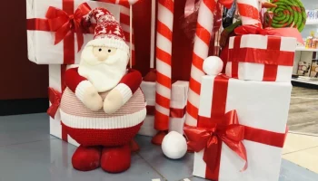 Горячая линия по качеству и безопасности детских товаров, выбору новогодних подарков заработала на Камчатке