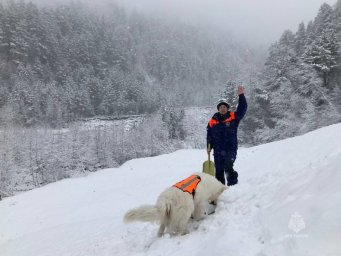 Поисковый пес Лелик с Камчатки аттестовался на горно-лавинную специализацию 7