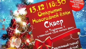 Дед Мороз откроет сегодня ёлку в сквере на ул. Тушканова в столице Камчатки
