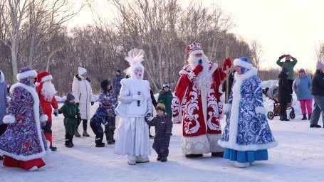 Новогодние ёлки открылись в Петропавловске-Камчатском 5