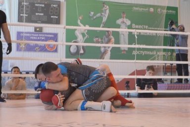 Около 150 спортсменов приняли участие в чемпионате и первенстве ДФО по смешанному боевому единоборству на Камчатке 0
