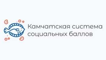 Тестовое дистанционное электронное голосование пройдет на Камчатке  15 по 17 ноября 2023 года