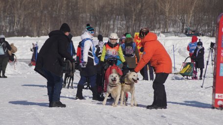 В день защитника Отечества в столице Камчатки прошел фестиваль «Снежный путь – 2024» 14