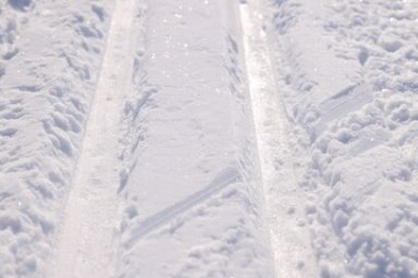 Новую бесплатную лыжню проложили на стадионе «Спартак» в столице Камчатки 4