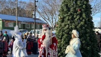 Новогодние ёлки открылись в Петропавловске-Камчатском