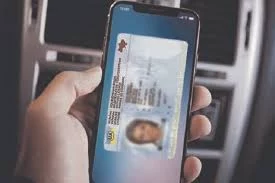 Житель Камчатки осужден за использование купленных в интернете водительских прав