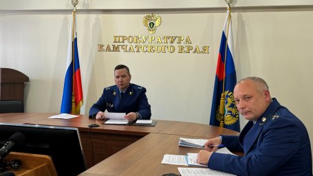 На Камчатке обсудили медицинское обеспечение осужденных и лиц, содержащихся под стражей 0