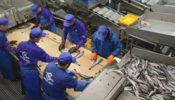 Рыбоперерабатывающие предприятия Камчатки переходят на безотходное производство