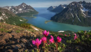 Природному заповеднику &laquo;Корякский&raquo; исполнилось 28 лет