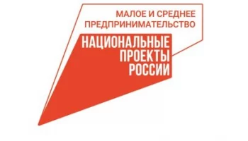 На четыре тысячи граждан пополнились ряды самозанятых Камчатки за прошедший год