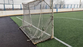 На Камчатке в пришкольном лагере на 10-летнюю девочку упали футбольные ворота