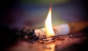18 пожаров произошло на Камчатке по вине курильщиков