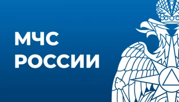 МЧС приглашает жителей Камчатки на "Прямую линию" по вопросам коррупции