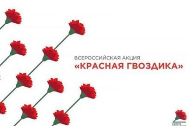 Жителей Камчатки приглашают принять участие в акции «Красная гвоздика» 0