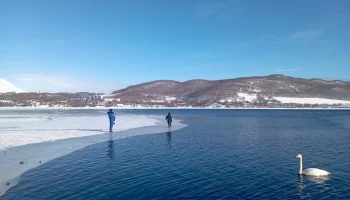 Жителей столицы Камчатки просят не выходить на тонкий лед