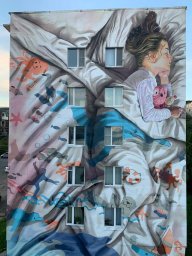 За четыре года фестиваля «Авача стрит-арт» Петропавловск-Камчатский украсили 78 картин 6