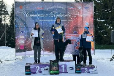 Спортсмены Камчатки завоевали полный комплект наград первенства России по ездовому спорту 1