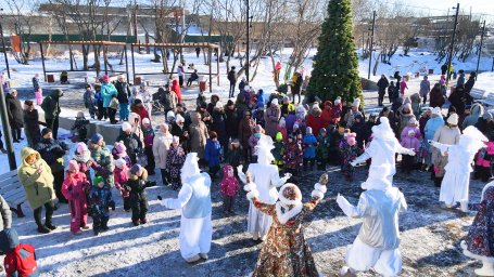 Новогодние ёлки открылись в Петропавловске-Камчатском 8