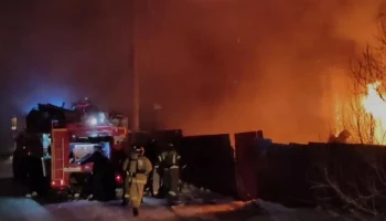 Семь собак вынесли из огня камчатские пожарные