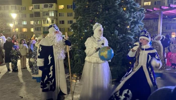 18 новогодних ёлок украсили разные районы Петропавловск-Камчатского