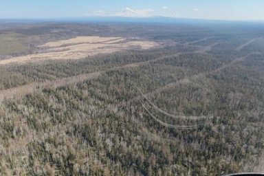Авиапатрулирование лесов Камчатки ведется на постоянной основе 0