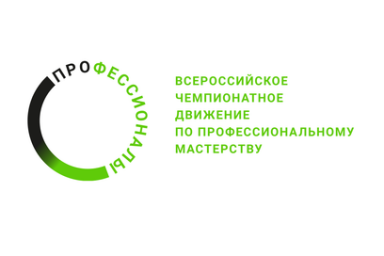 На Камчатке стартовал региональный этап Чемпионата по профессиональному мастерству 0