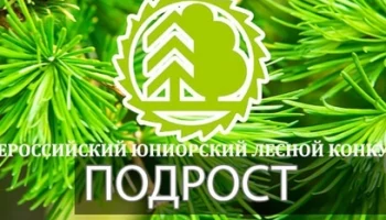 Региональный этап Всероссийского юниорского лесного конкурса «Подрост» пройдет на Камчатке