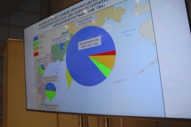 Камчатка в Путину-2023 достигла высоких показателей вылова лососей – более 490 тысяч тонн 0