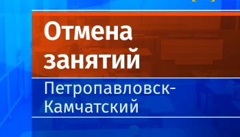 Занятия в начальных классах второй смены в школах Петропавловска-Камчатского отменены