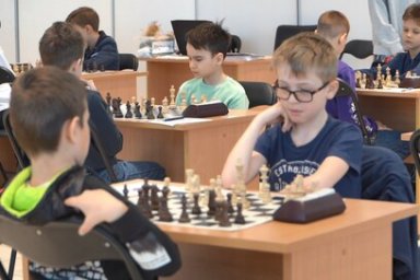 Перспективы развития шахматного спорта обсудили на Камчатке 8