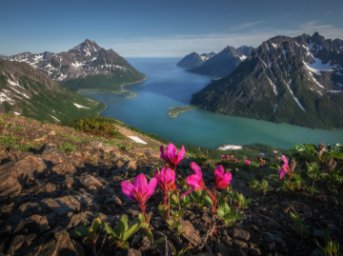 Природному заповеднику &laquo;Корякский&raquo; исполнилось 28 лет 0