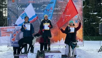 Спортсмены Камчатки завоевали полный комплект наград первенства России по ездовому спорту