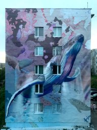 За четыре года фестиваля «Авача стрит-арт» Петропавловск-Камчатский украсили 78 картин 3