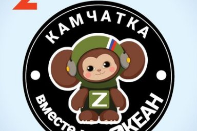 Жители Камчатки выбрали эскиз шеврона для земляков-участников СВО 1