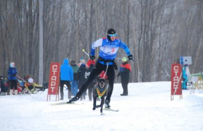 В Елизове прошли соревнования по снежным дисциплинам ездового спорта 10