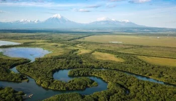 Около 1000 гектаров востребованных земель раздадут на Камчатке