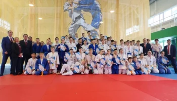 В столице Камчатки подведены итоги соревнований по дзюдо и художественной гимнастике