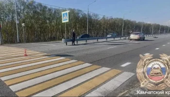 На Камчатке за неделю задержали почти 100 водителей, управлявших автомобилями без водительских прав