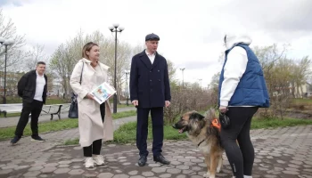 На Камчатке проводится проверка соблюдения правил убирания за собаками в условиях нехватки мест для выгула.