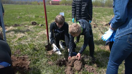 Сад памяти высадили в Николаевке на Камчатке 5