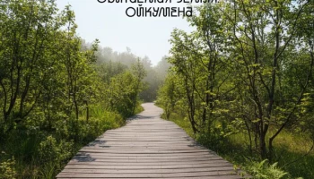 Новый туристический бренд региона разработает студенческая экспедиция НИУ ВШЭ на Камчатке