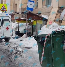 Трагедия произошла на остановке общественного транспорта в Петропавловске-Камчатском 1