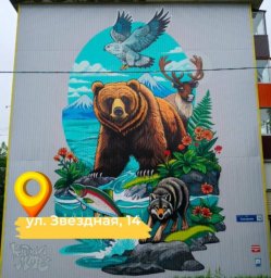 25 монументальных росписей украсили Петропавловск-Камчатский 0