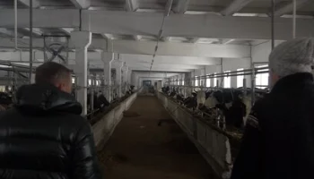 На Камчатке торжественно открыли новую молочную ферму в Шаромах
